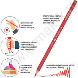 Карандаши пластиковые 36цв Funcolor 4вида | Фото 9