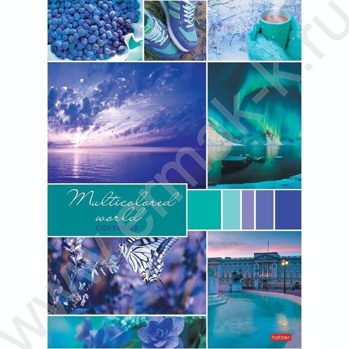 Тетрадь  96л А4 клетка "Разноцветный мир" 3вида | Фото 2