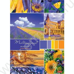 Тетрадь  96л А4 клетка "Разноцветный мир" 3вида | Фото 3