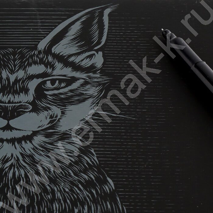 Набор д/творчества Гравюра Классика золото Степная рысь | Фото 4