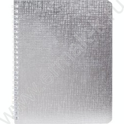 Тетрадь  96л клетка/спираль "Бум/винил" METALLIC серебро | Фото 1