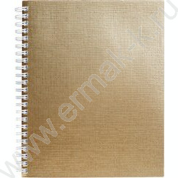 Тетрадь  96л клетка/спираль "Бум/винил" METALLIC золото | Фото 1