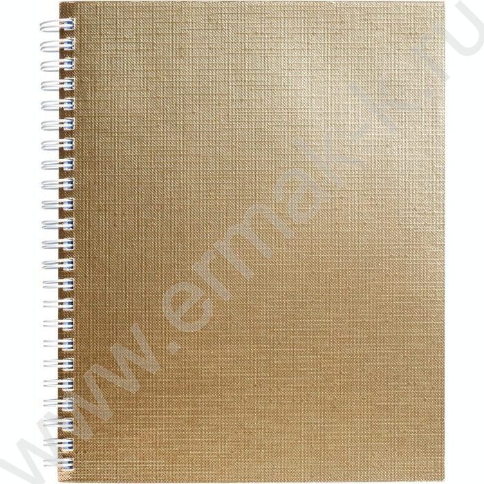 Тетрадь  96л клетка/спираль "Бум/винил" METALLIC золото | Фото 1
