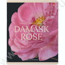 Тетрадь  48л клетка "Цветы.Феерия" ассорти | Фото 3