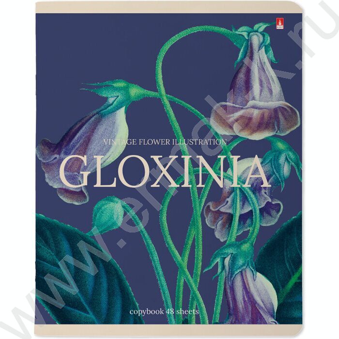 Тетрадь  48л клетка "Цветы.Феерия" ассорти | Фото 4