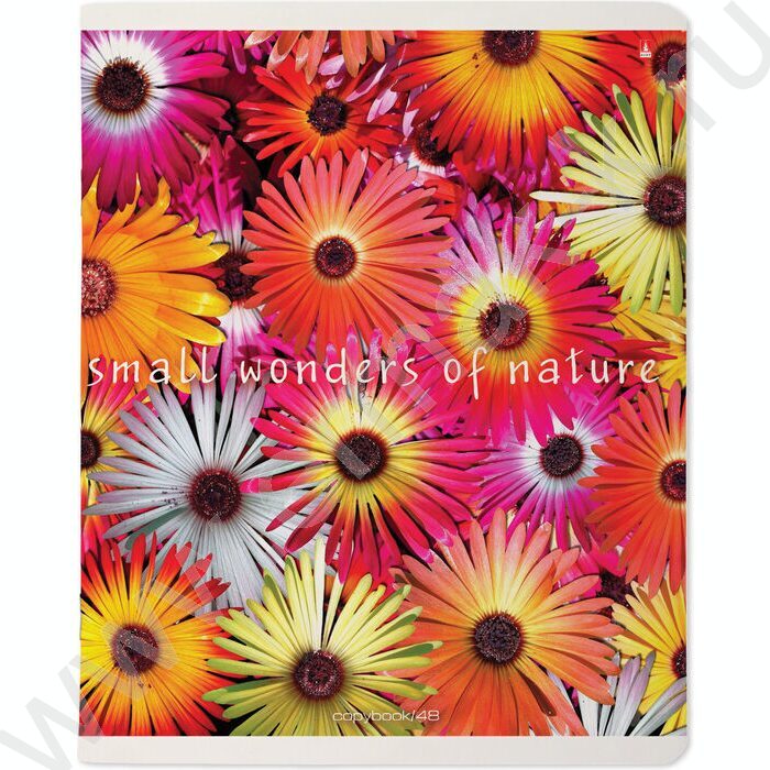 Тетрадь  48л клетка "Цветочный паттерн" ассорти | Фото 3