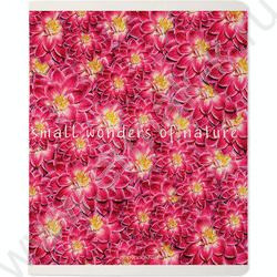 Тетрадь  48л клетка "Цветочный паттерн" ассорти | Фото 4