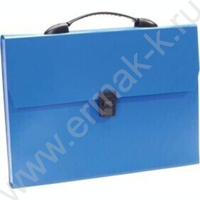 Папка-портфель с замком "Daily" 13отд. синий А4 | Фото 1