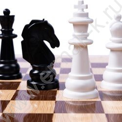 Шахматы пластмассовые в деревянной упаковке (поле 29см*29см) | Фото 2