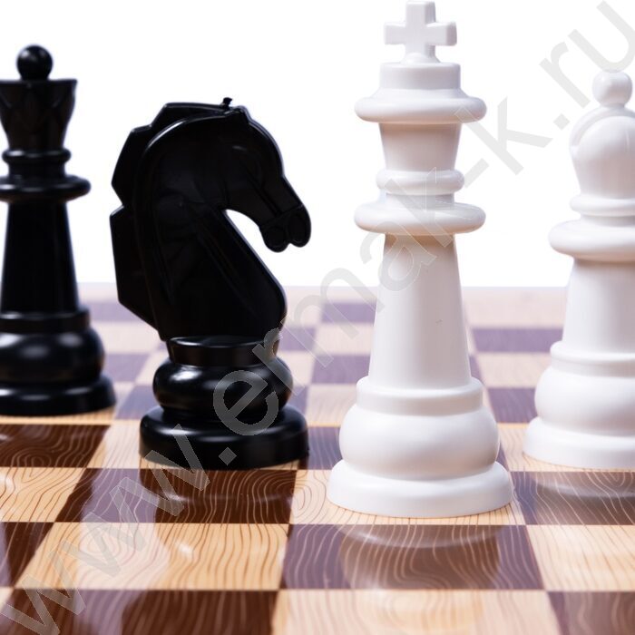 Шахматы пластмассовые в деревянной упаковке (поле 29см*29см) | Фото 2