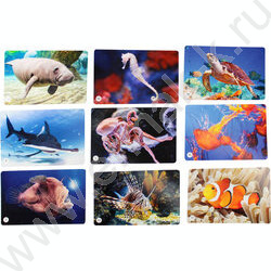 Мемо Водный мир 50 карточек | Фото 4