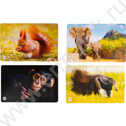 Мемо Мир животных 50 карточек | Фото 1