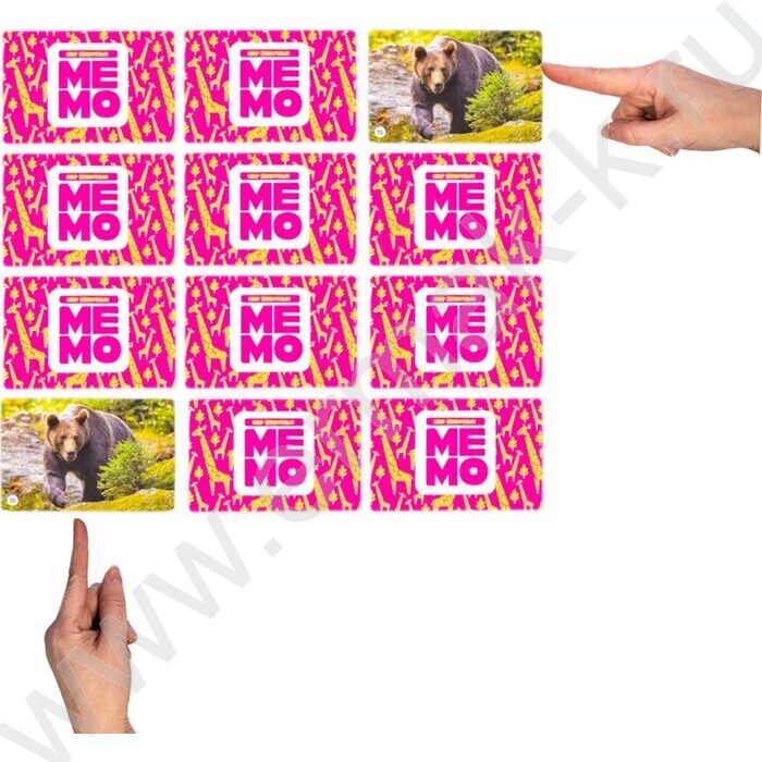 Мемо Мир животных 50 карточек | Фото 3