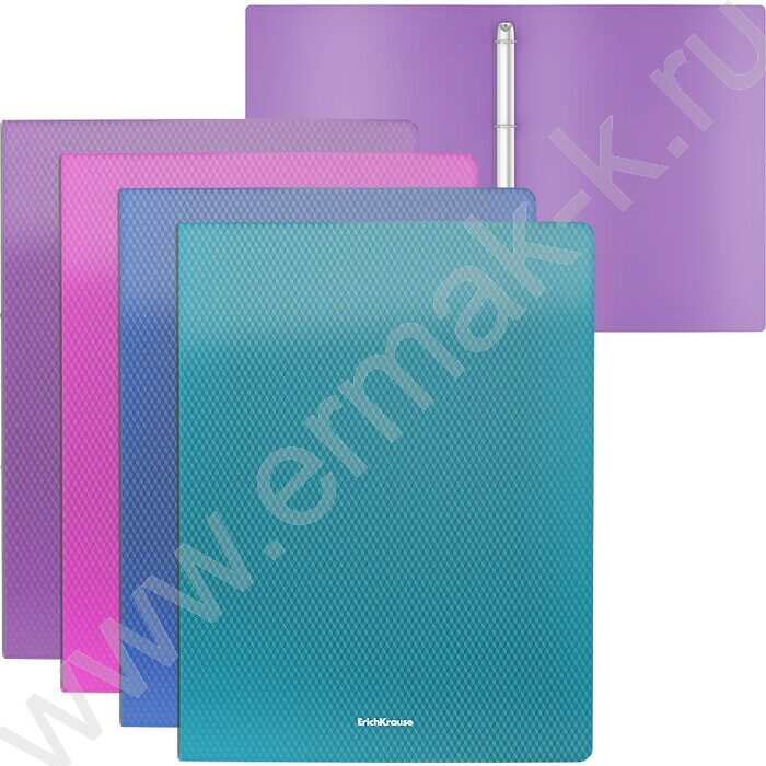 Папка 4 кольца 24мм Glance Vivid ассорти | Фото 1