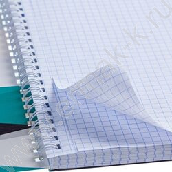 Тетрадь 100л клетка/спираль/карман "WorkBook" /лак/ | Фото 3