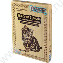 Набор д/творчества Выжигание.Доски для выжигания 5 шт "Без рисунка. Для собственных идей" | Фото 1