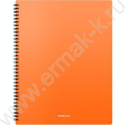 Папка  20 файлов Matt Neon ассорти /спираль | Фото 4