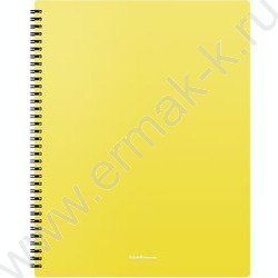 Папка  20 файлов Matt Neon ассорти /спираль | Фото 5