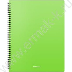 Папка  40 файлов Matt Neon ассорти /спираль | Фото 1