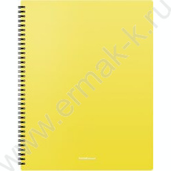 Папка  40 файлов Matt Neon ассорти /спираль | Фото 2