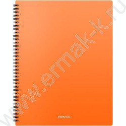 Папка  40 файлов Matt Neon ассорти /спираль | Фото 3