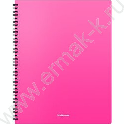 Папка  40 файлов Matt Neon ассорти /спираль | Фото 4