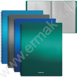 Папка  20 файлов Matt Ice Metallic ассорти /спираль | Фото 1