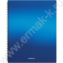 Папка  20 файлов Matt Ice Metallic ассорти /спираль | Фото 3