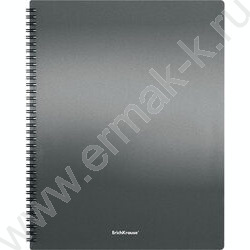 Папка  20 файлов Matt Ice Metallic ассорти /спираль | Фото 4