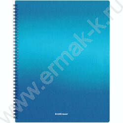 Папка  20 файлов Matt Ice Metallic ассорти /спираль | Фото 5