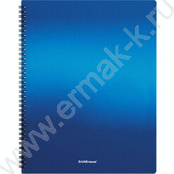 Папка  40 файлов Matt Ice Metallic ассорти /спираль | Фото 3