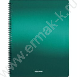 Папка  40 файлов Matt Ice Metallic ассорти /спираль | Фото 4