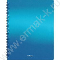 Папка  40 файлов Matt Ice Metallic ассорти /спираль | Фото 6