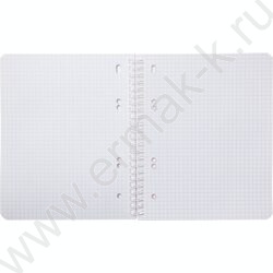 Тетрадь  80л клетка/спираль "NEWtone PASTEL Лаванда" /глянц. лам. /перфорация | Фото 2